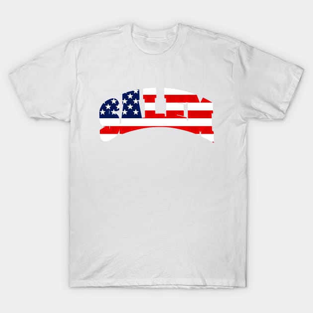 Salem Collegiate American Flag T-Shirt by Telos Archive